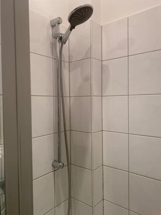 ויסבאדן Altbau-Oase Der Eleganz: Stadtnaher Komfort Pur מראה חיצוני תמונה